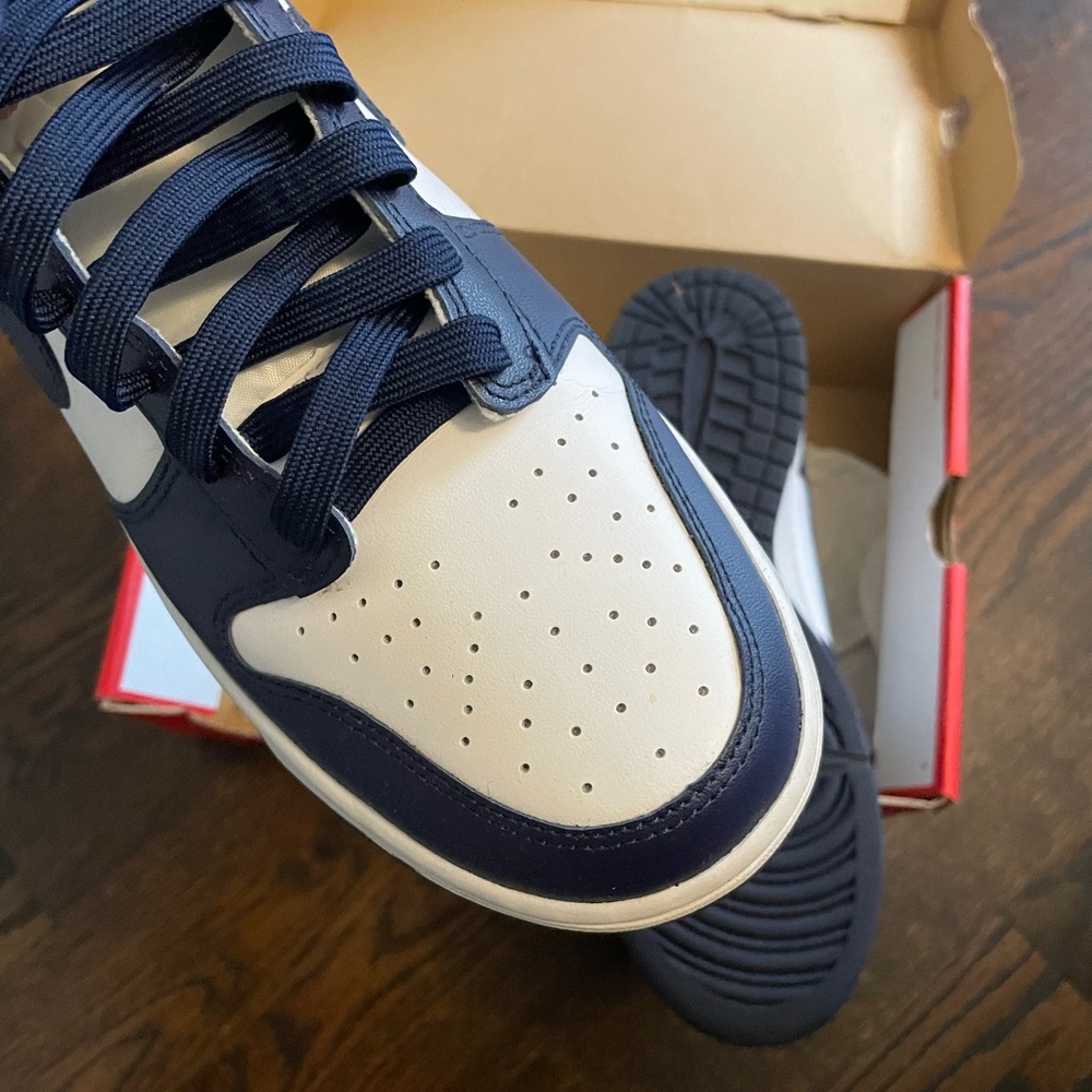 Nike hightop dunk